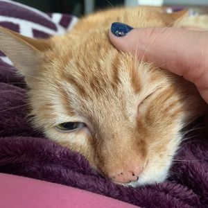 Meet your Posher, Jacki